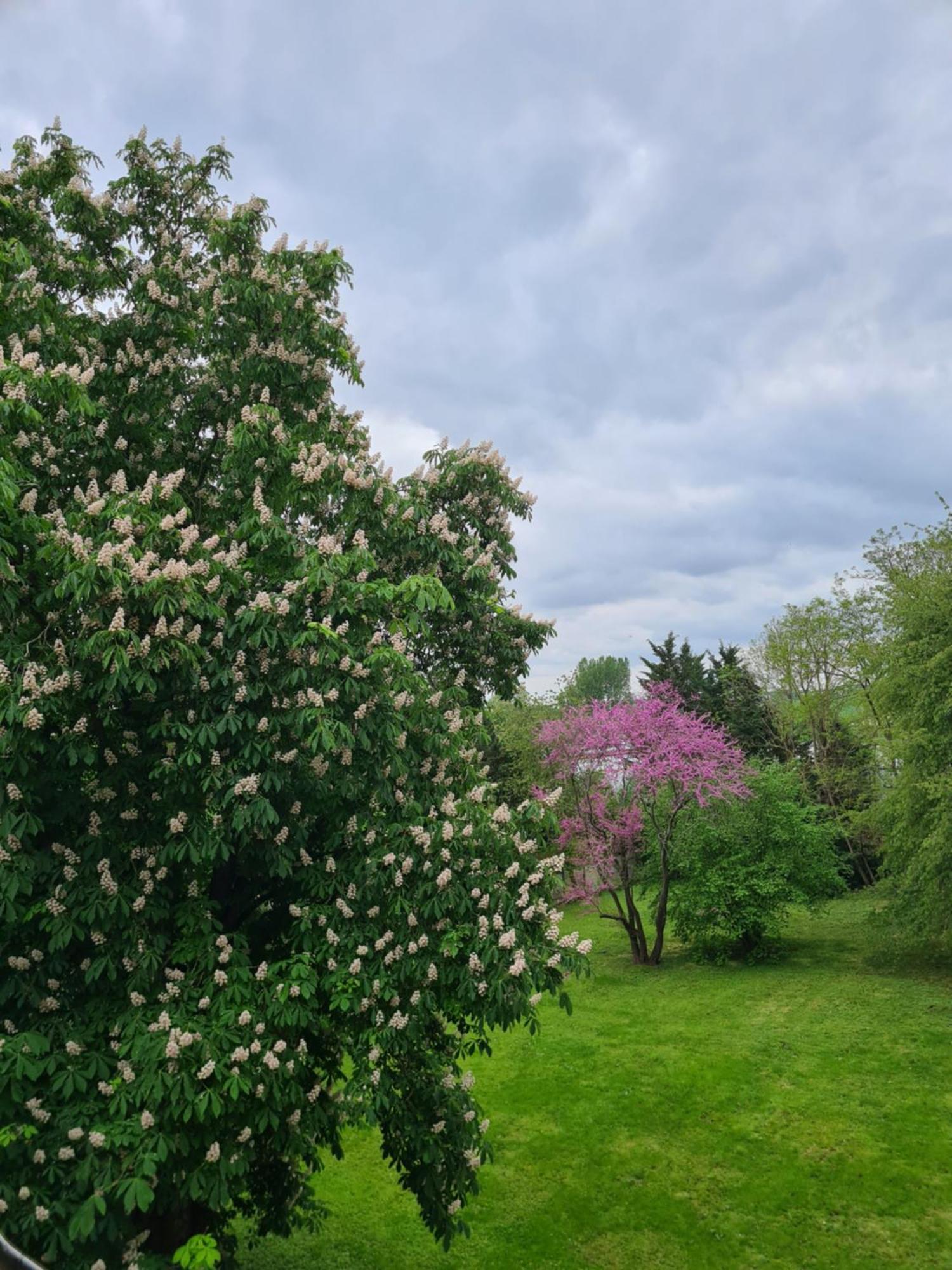Demeure Du Saule Madame Bed & Breakfast Thieux  Exterior photo